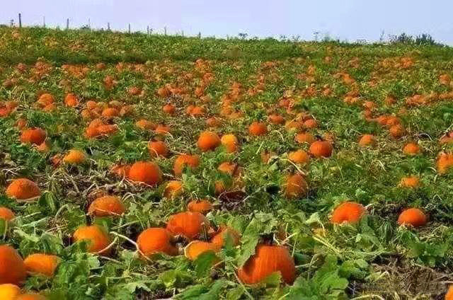 微信圖片_20191112141818.jpg 微信圖片_20191112141818.jpg