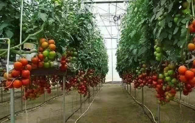 微信圖片_20191112141909.jpg 微信圖片_20191112141909.jpg