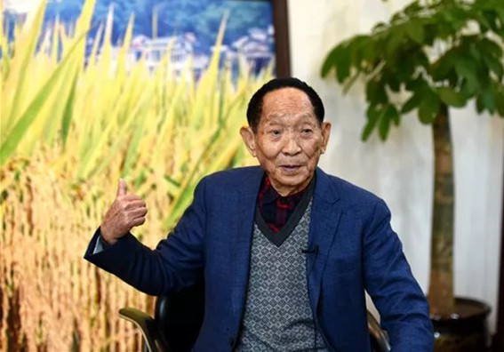 袁隆平.jpg 袁隆平.jpg