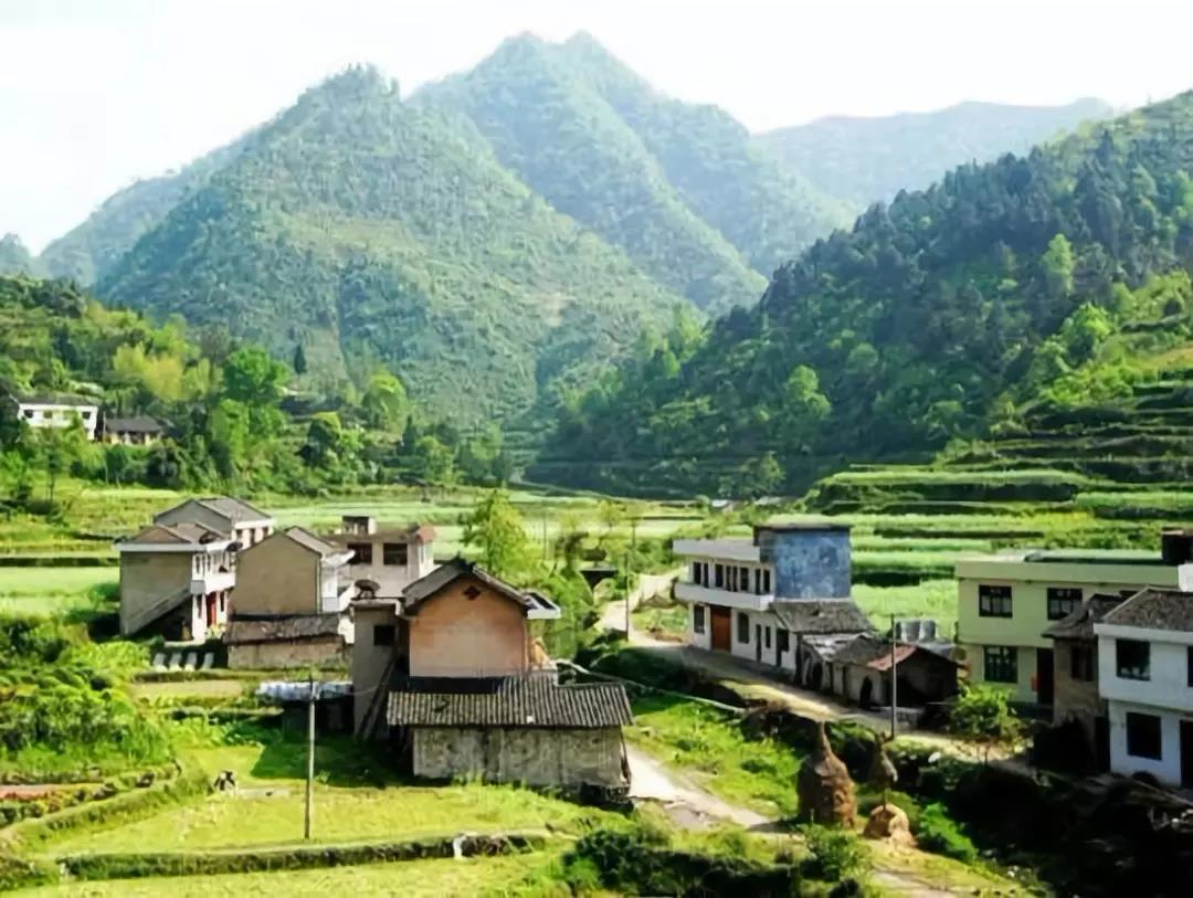 農業農村部：整合資金和項目，大力發展田園綜合體