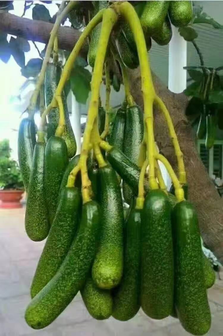 微信圖片_20210501132149.jpg 微信圖片_20210501132149.jpg