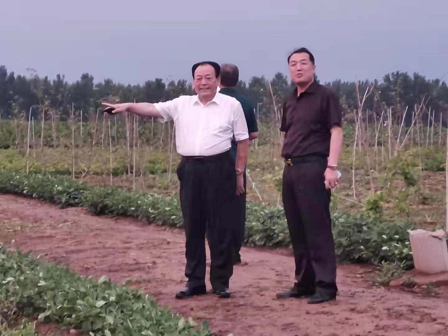 微信圖片_20210822144613.jpg 微信圖片_20210822144613.jpg